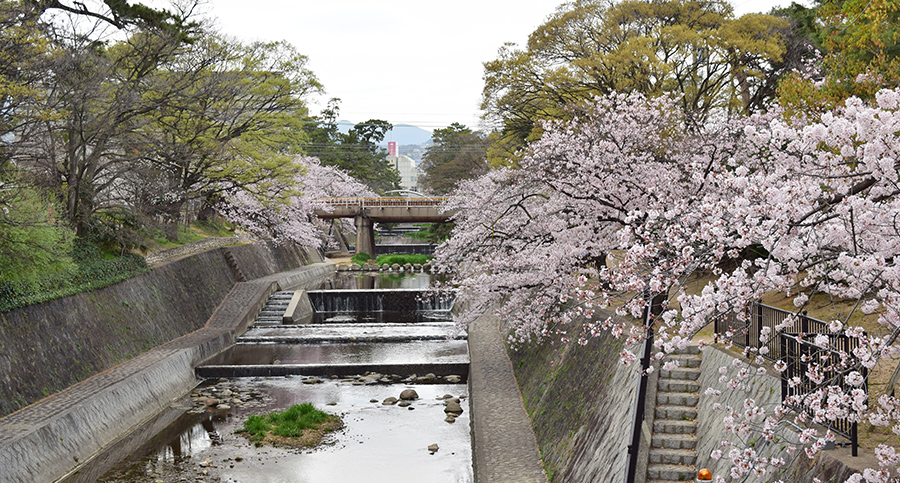 夙川公園の写真